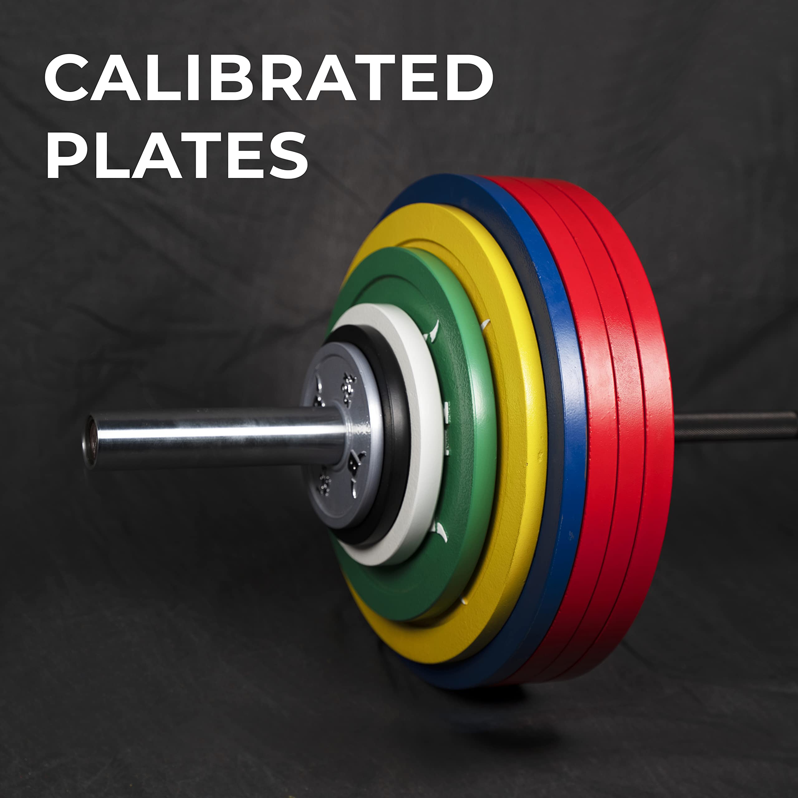 BullrocK Calibrated Powerlifting Cast Iron Weight Plates for Gym